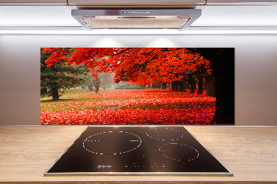 Cooker splashback Trees in autumn