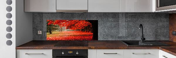 Cooker splashback Trees in autumn