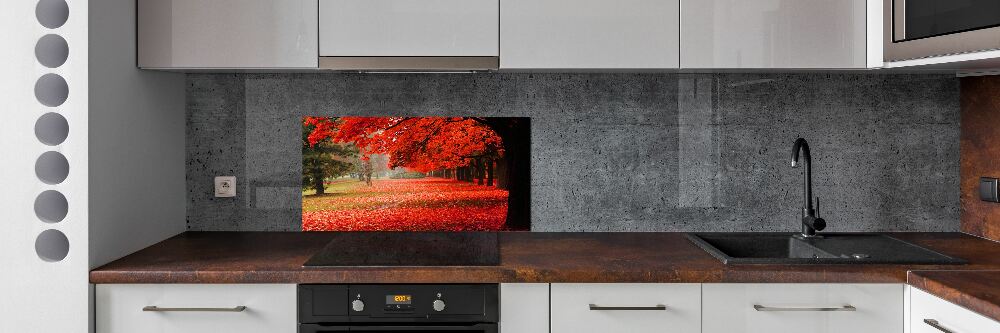 Cooker splashback Trees in autumn