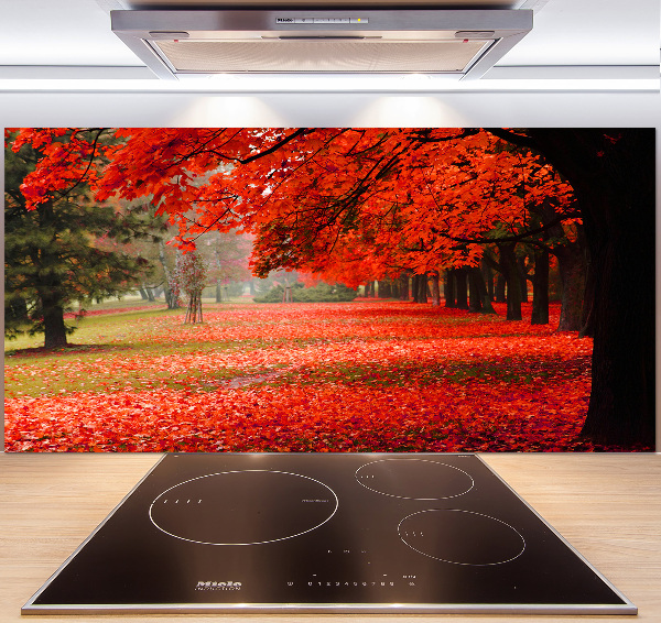 Cooker splashback Trees in autumn