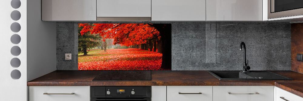 Cooker splashback Trees in autumn