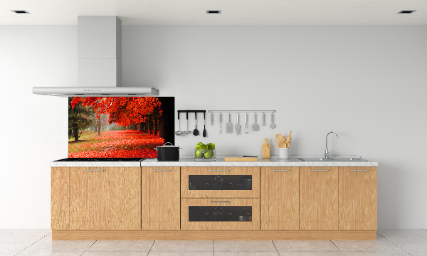 Cooker splashback Trees in autumn