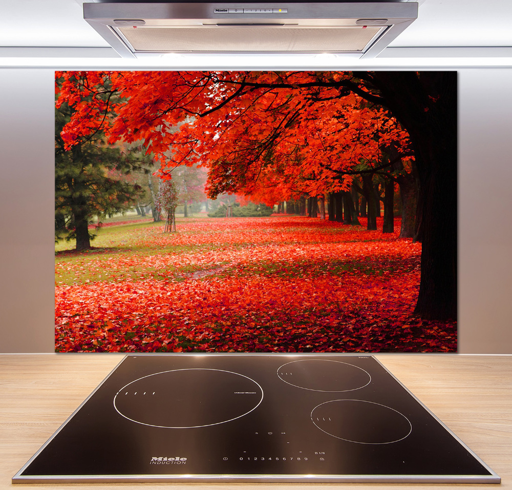 Cooker splashback Trees in autumn