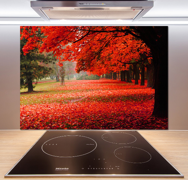 Cooker splashback Trees in autumn