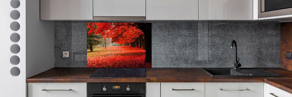 Cooker splashback Trees in autumn