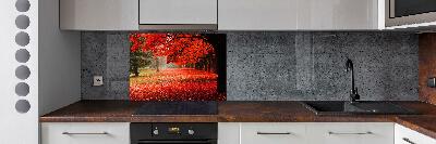 Cooker splashback Trees in autumn