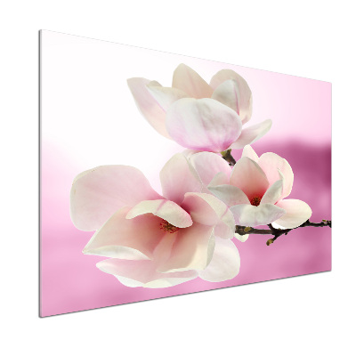 Kitchen wall panels Magnolia