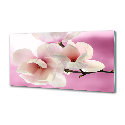 Kitchen wall panels Magnolia