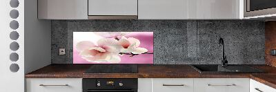 Kitchen wall panels Magnolia