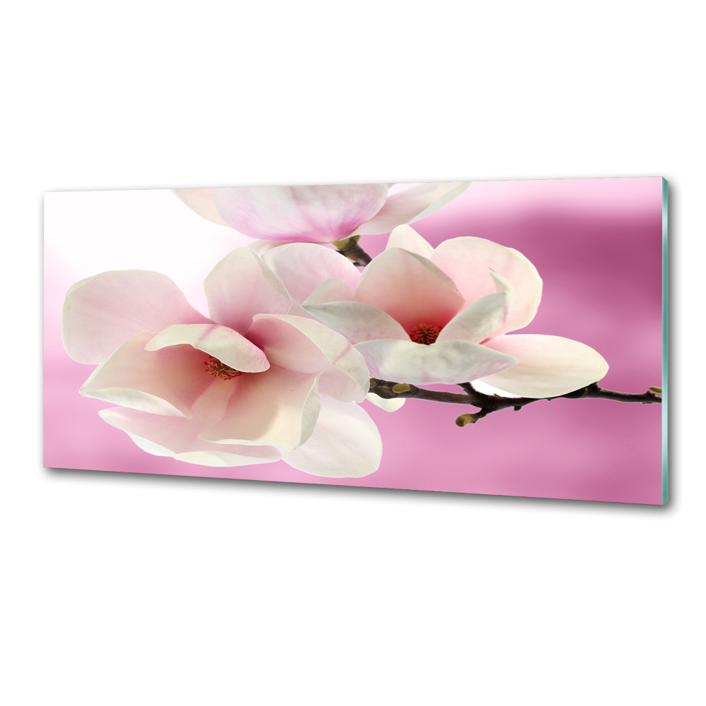 Kitchen wall panels Magnolia