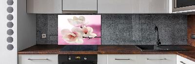 Kitchen wall panels Magnolia