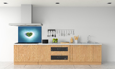 Cooker splashback Island