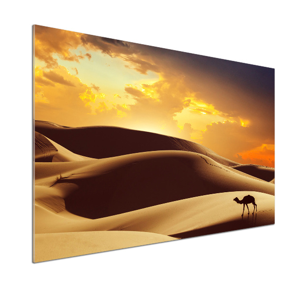 Cooker splashback Sahara camel