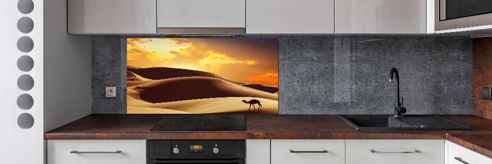 Cooker splashback Sahara camel