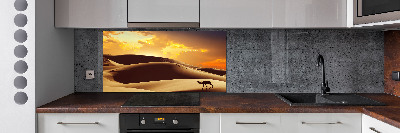 Cooker splashback Sahara camel