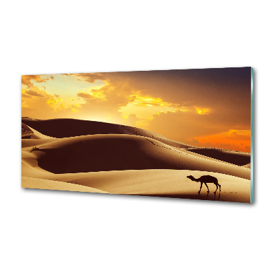 Cooker splashback Sahara camel