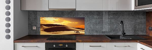 Cooker splashback Sahara camel