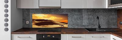 Cooker splashback Sahara camel