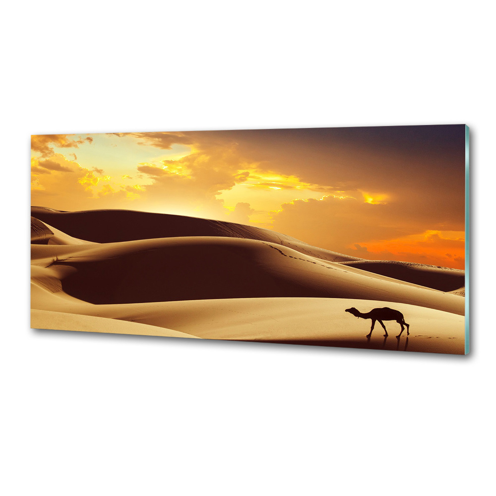 Cooker splashback Sahara camel