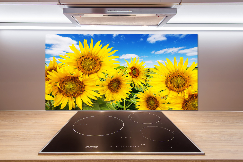 Kitchen splashback Sunflowers