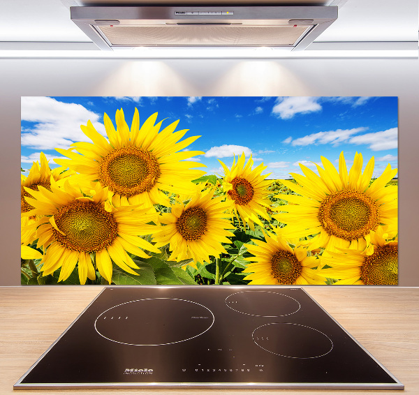 Kitchen splashback Sunflowers