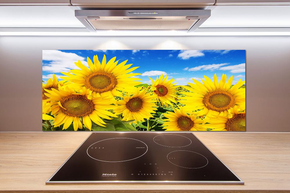 Kitchen splashback Sunflowers