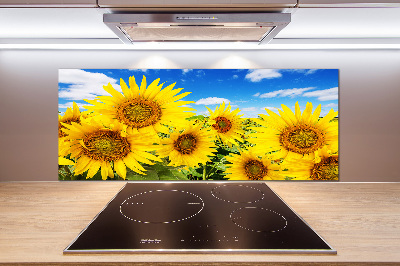 Kitchen splashback Sunflowers