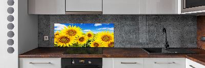 Kitchen splashback Sunflowers