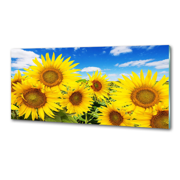 Kitchen splashback Sunflowers