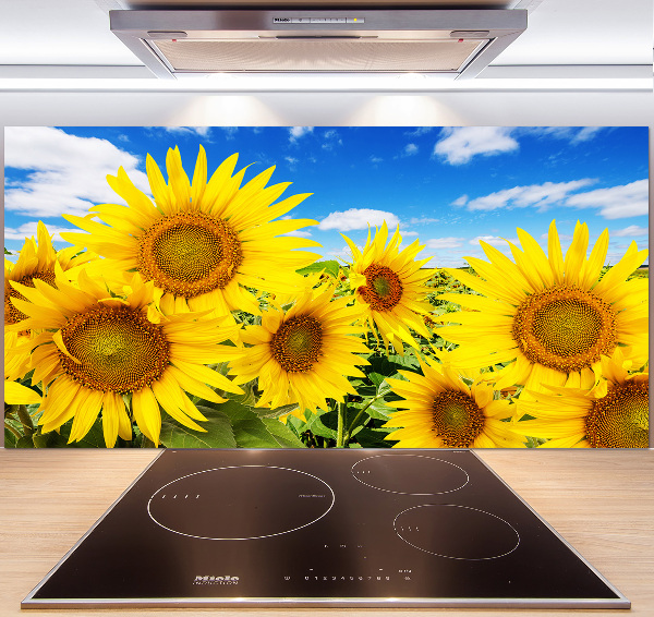 Kitchen splashback Sunflowers