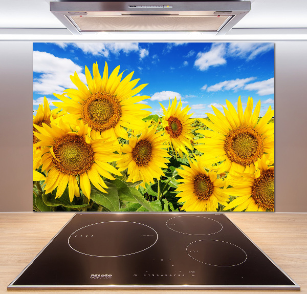 Kitchen splashback Sunflowers