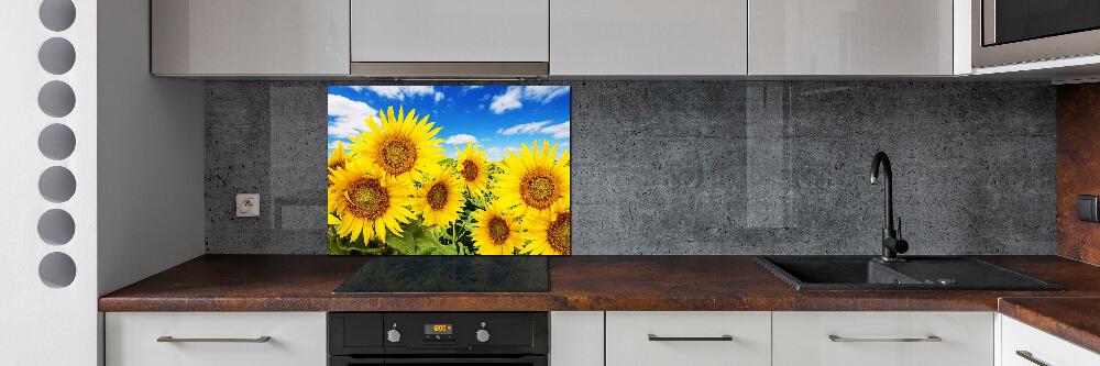 Kitchen splashback Sunflowers