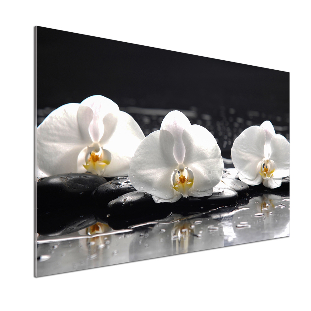 Kitchen splashback Orchid