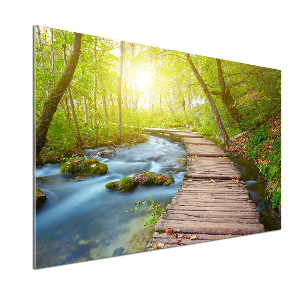 Glass splashback Path in the forest