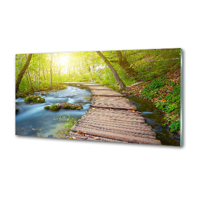 Glass splashback Path in the forest