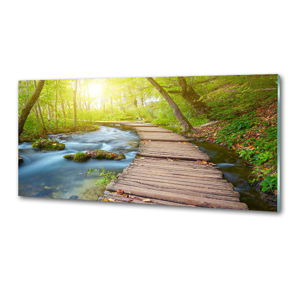 Glass splashback Path in the forest