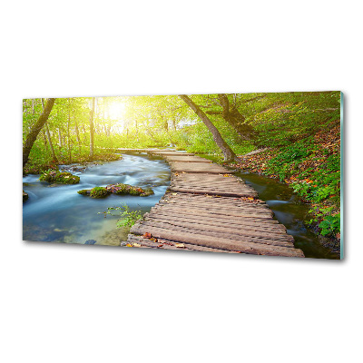 Glass splashback Path in the forest