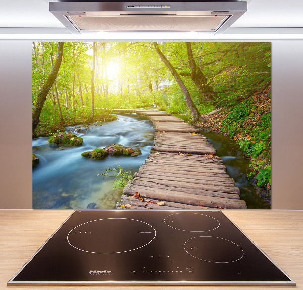 Glass splashback Path in the forest