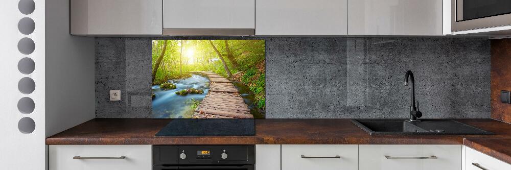 Glass splashback Path in the forest