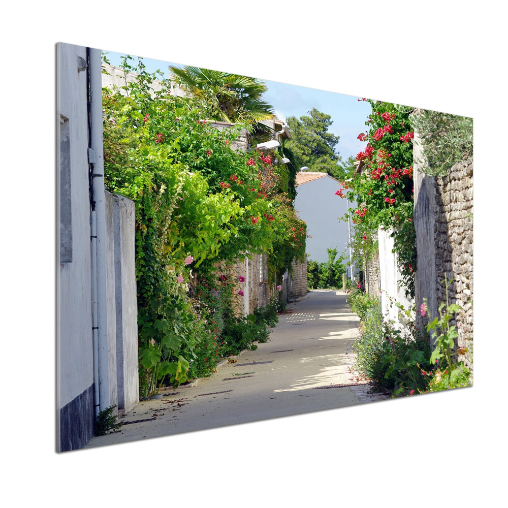 Glass splashback Floral alley