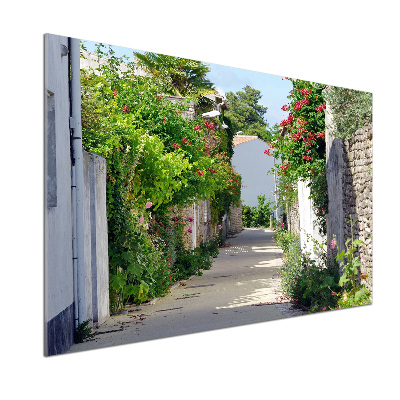 Glass splashback Floral alley