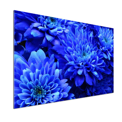 Kitchen splashback Blue aster