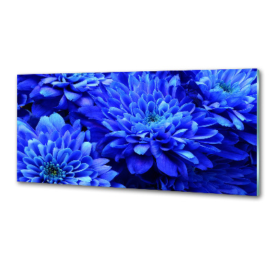 Kitchen splashback Blue aster