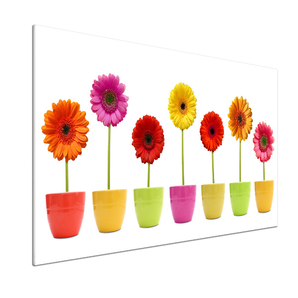 Kitchen splashback Colorful gerberas