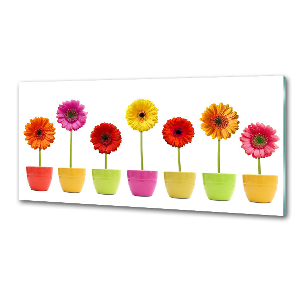 Kitchen splashback Colorful gerberas