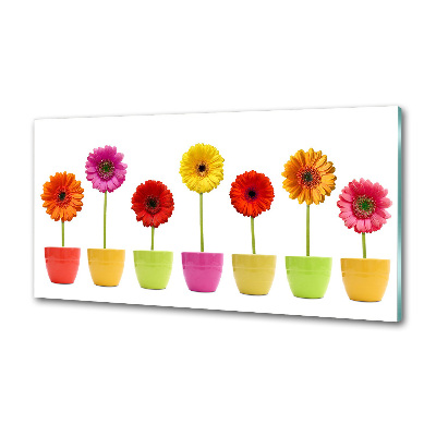 Kitchen splashback Colorful gerberas