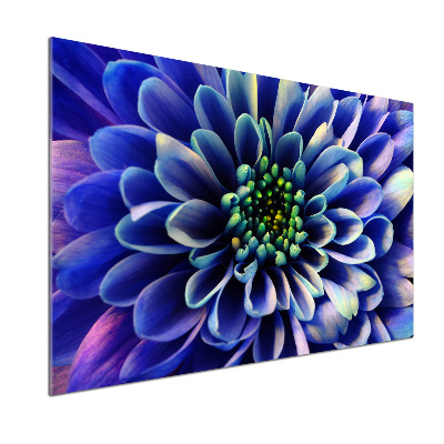 Kitchen splashback Aster