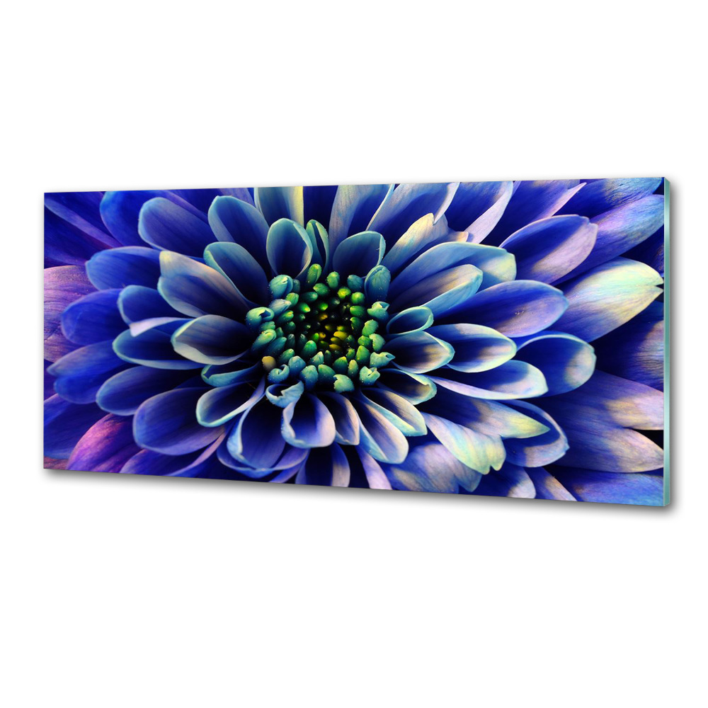 Kitchen splashback Aster