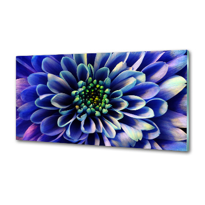 Kitchen splashback Aster