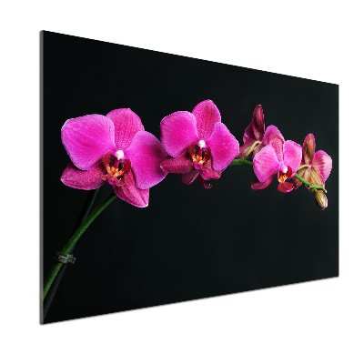 Kitchen splashback Orchid